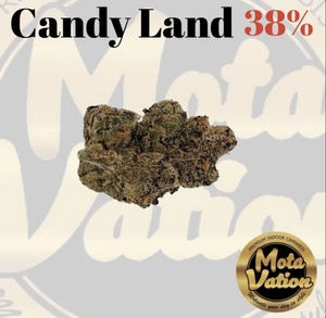 Mota-vation - CANDY LAND 🔥🔥🔥🔥🔥🔥 38% (Sativa) ( 2 for $70) ***SUPER SALE**