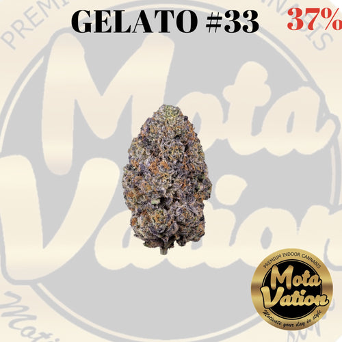 Mota-Vation GELATO #33 🔥🔥🔥🔥🔥🔥🔥🔥🔥 (Indica) 37%(2 for $80) ***Super Sale***