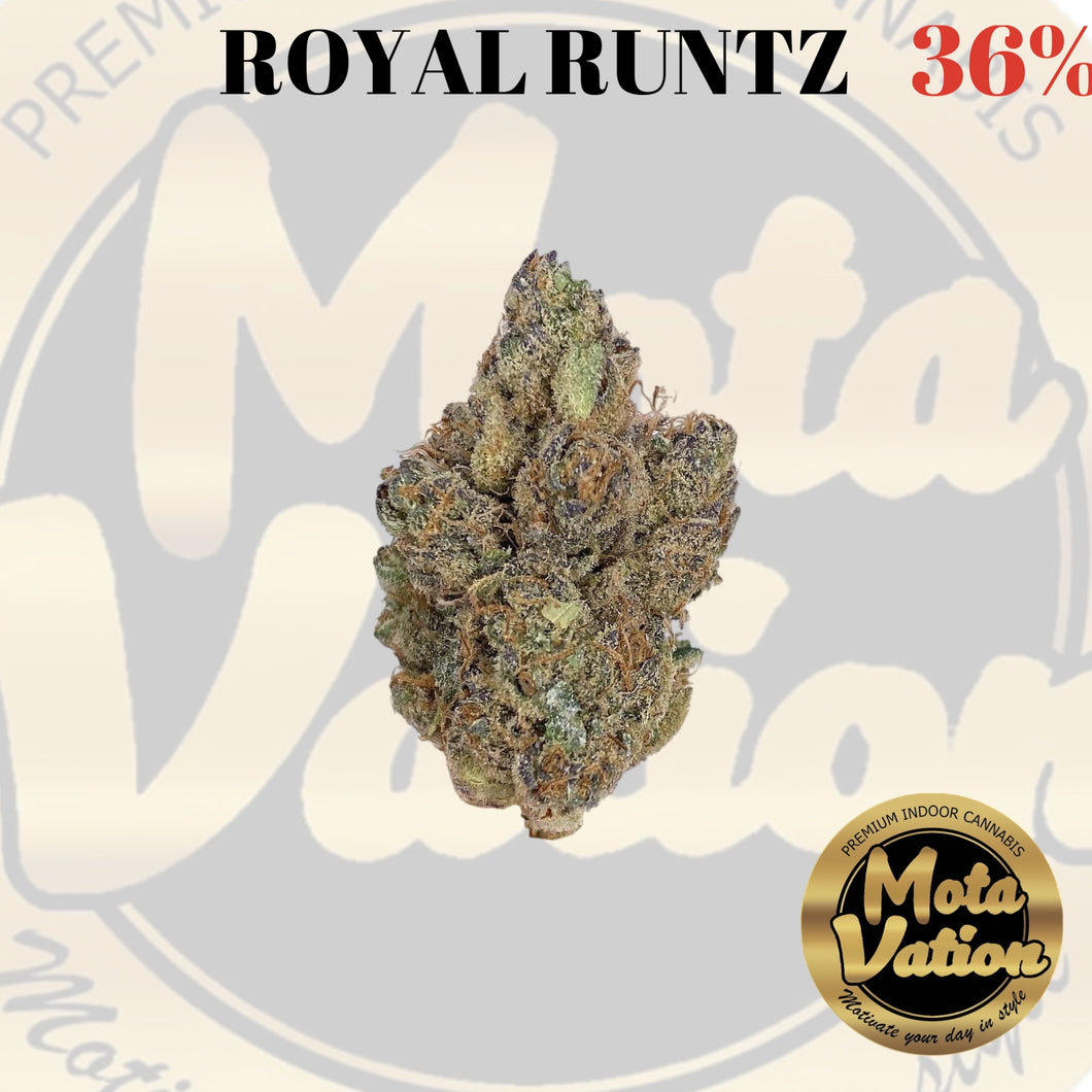 Mota-Vation - ROYAL RUNTZ 🔥🔥🔥🔥🔥🔥  (Indica) 36% (2 for $60) ***Super Sale***