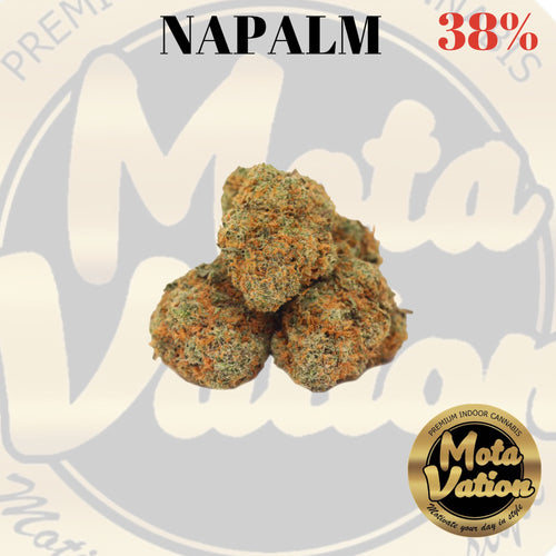 Mota-Vation NAPALM 🔥🔥🔥🔥🔥🔥🔥🔥🔥 (Indica) 38% ***Super Sale***