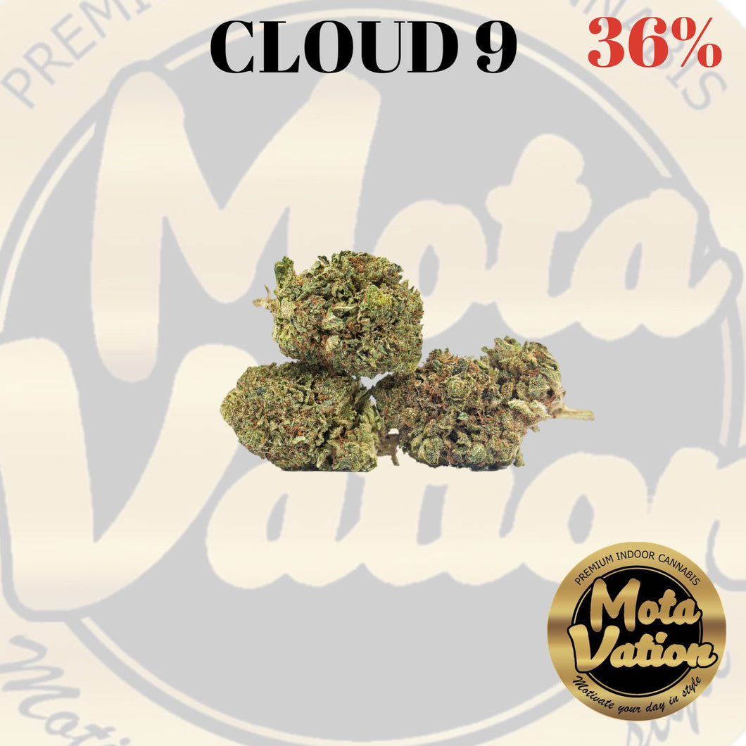 Mota-Vation - CLOUD 9 🔥🔥🔥🔥🔥🔥  (Indica) 36% (2 for $60) ***Super Sale***