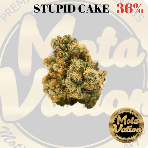 Mota-Vation - STUPID CAKE🔥🔥🔥🔥🔥🔥  (Indica) 36% (2 for $60) ***Super Sale***