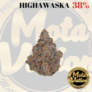 Mota-Vation - HIGHAWASCA 🔥🔥🔥🔥🔥🔥🔥🔥  (Indica) 38%