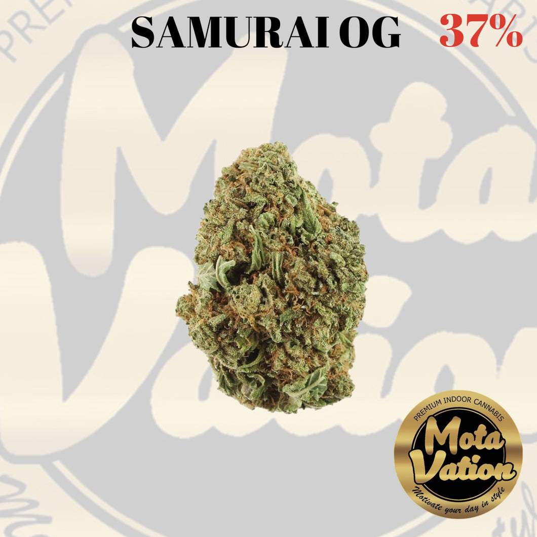 Mota-Vation - SAMURAI OG  🔥🔥🔥🔥🔥🔥🔥🔥  (Indica) 37% ***(SUPER SALE)***
