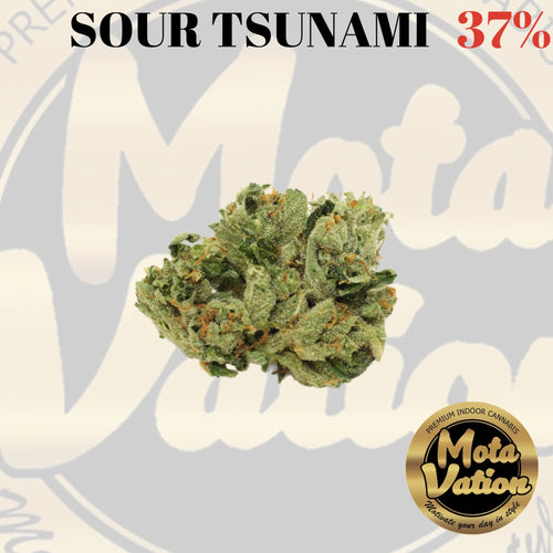 Mota-Vation - SOUR TSUNAMI  🔥🔥🔥🔥🔥🔥🔥🔥  (Hybrid) 37% ***SUPER SALE***
