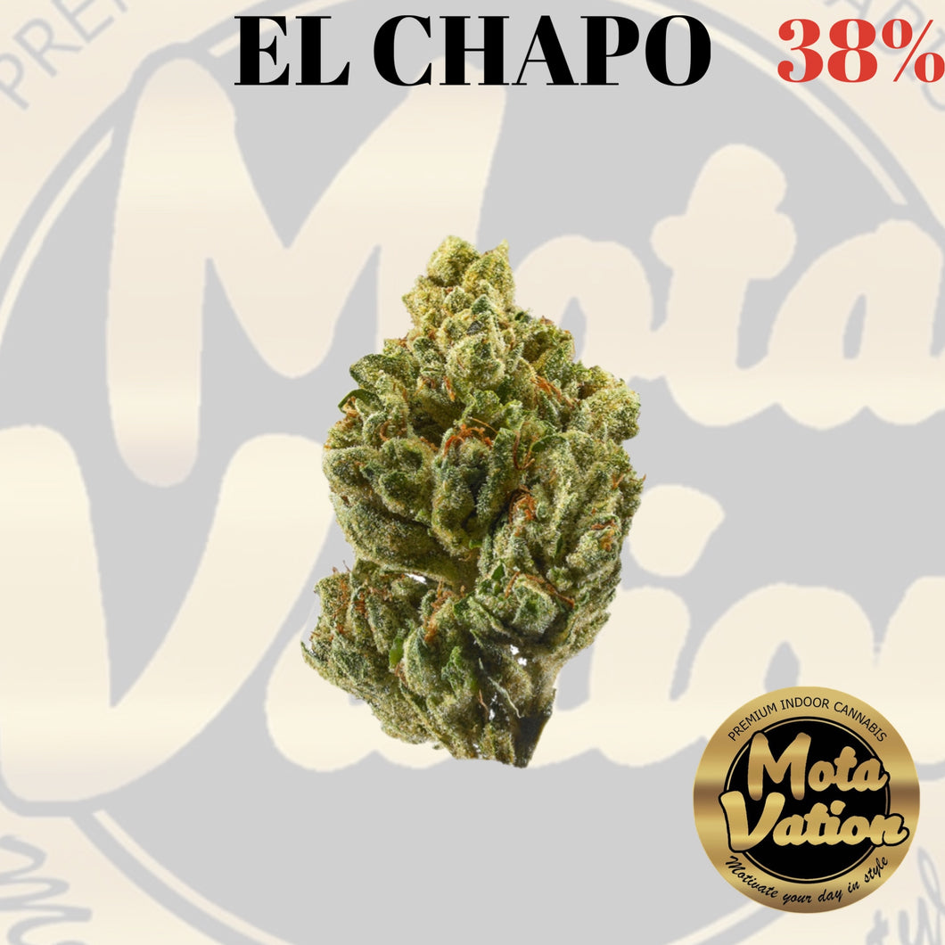 Mota-Vation - EL CHAPO 🔥🔥🔥🔥🔥🔥🔥🔥🔥 (Indica) 38%(2 for $80)