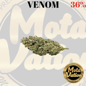 Mota-Vation - VENOM 🔥🔥🔥🔥🔥🔥  (Indica) 36% **(2 for $60)**
