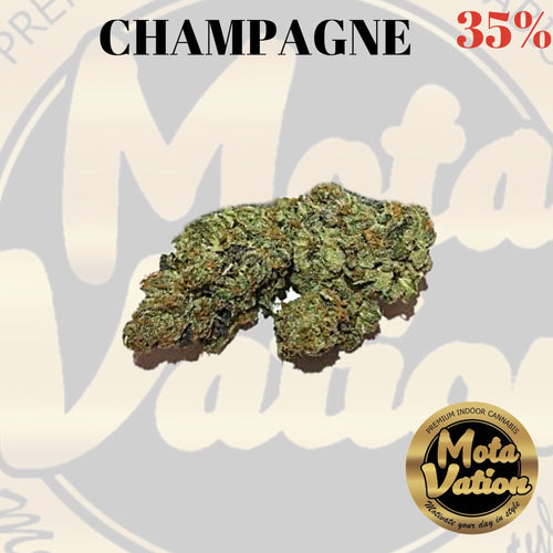 Mota-Vation - CHAMPAGNE 🔥🔥🔥🔥🔥🔥  (HYBRID) 35% **(2 for $60)**