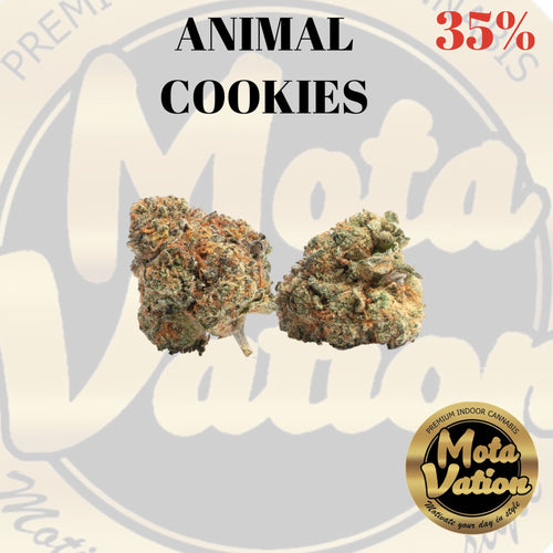 Mota-Vation - ANIMAL COOKIES🔥🔥🔥🔥🔥🔥  (Hybrid) 35% (2 for $60) ***Super Sale***