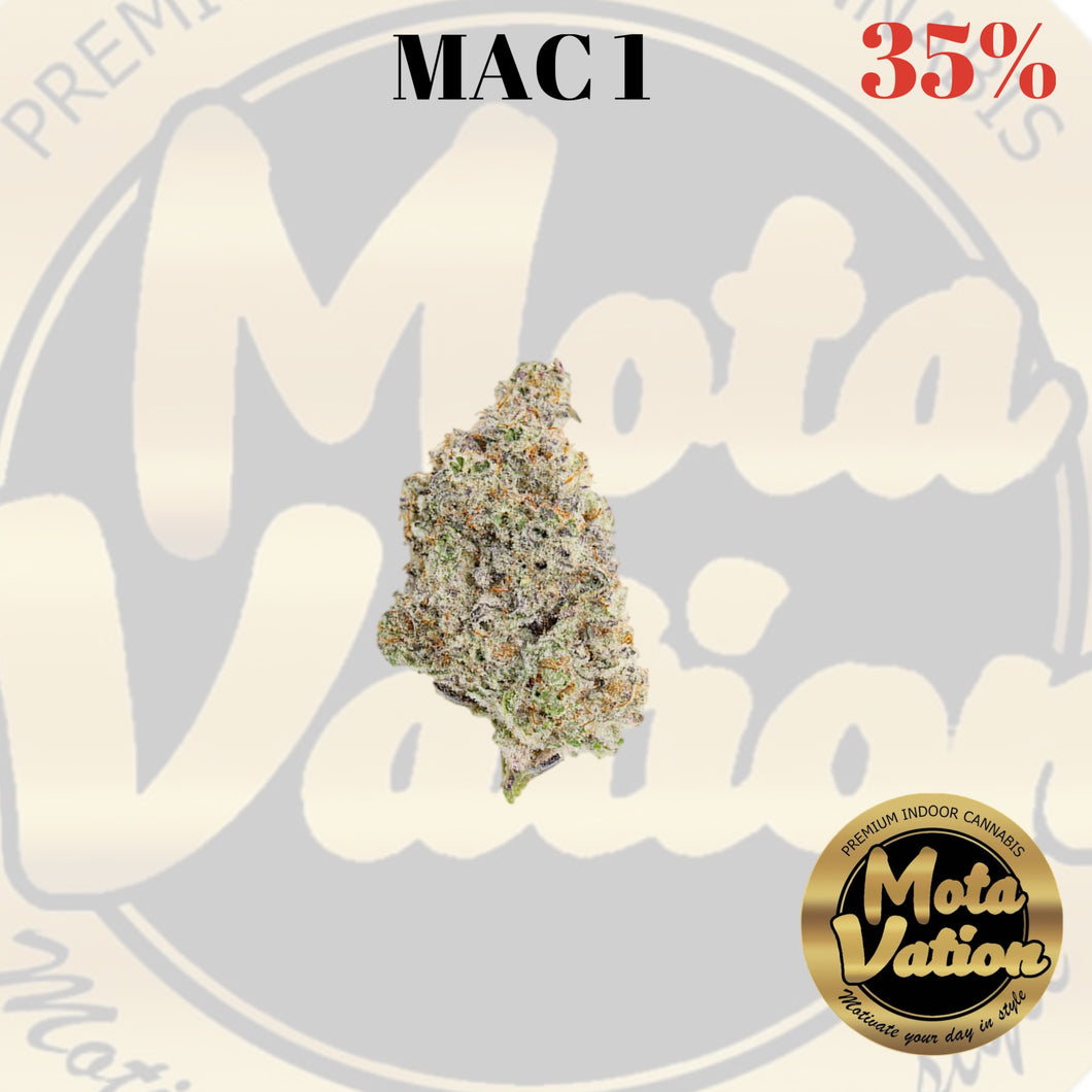 Mota-Vation  MAC 1  🔥🔥🔥🔥🔥🔥  (Indica) 35% (2 for $60)