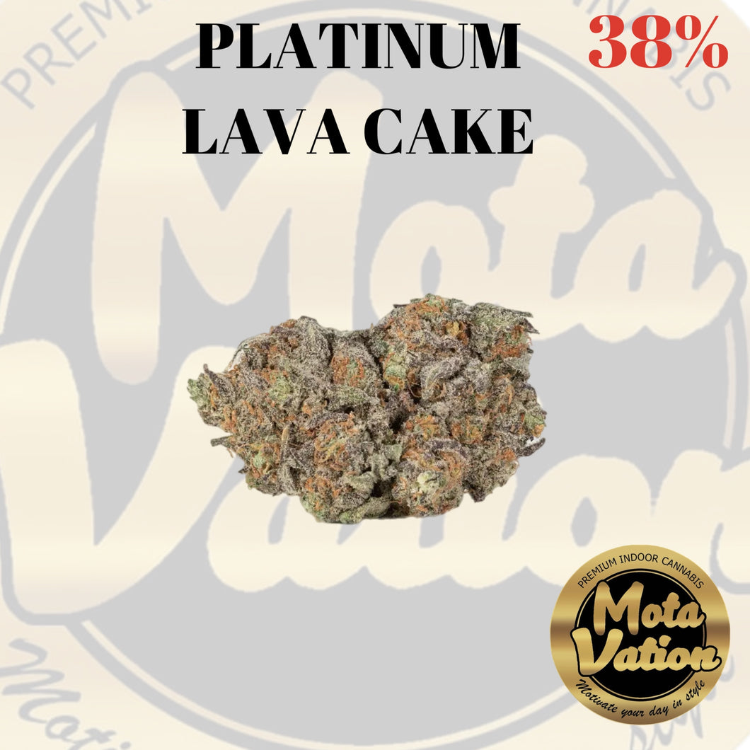 Mota-Vation PLATINUM LAVA CAKE 🔥🔥🔥🔥🔥🔥🔥🔥🔥 (Indica) 38% ***Super Sale***
