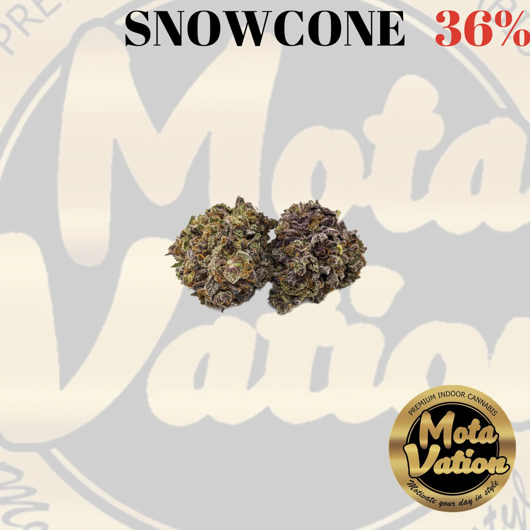 Mota-Vation - SNOW CONE 🔥🔥🔥🔥🔥🔥  (Hybrid) 36% (2 for $60) ***Super Sale***