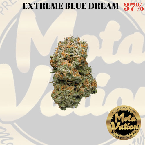 Mota-Vation - EXTREME BLUE DREAM 🔥🔥🔥🔥  (Sativa) 37% *** SUPER SALE***