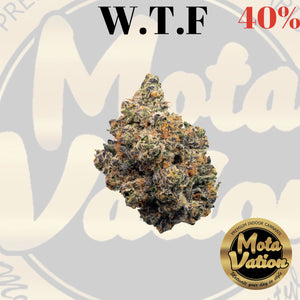 Mota-Vation - W.T.F. 🔥🔥🔥🔥🔥🔥🔥🔥🔥 (Indica) 40%