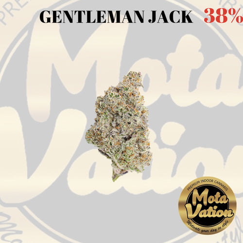 Mota-Vation - GENTLEMAN JACK 🔥🔥🔥🔥🔥🔥  (SATIVA) 38% *** SUPER SALE***