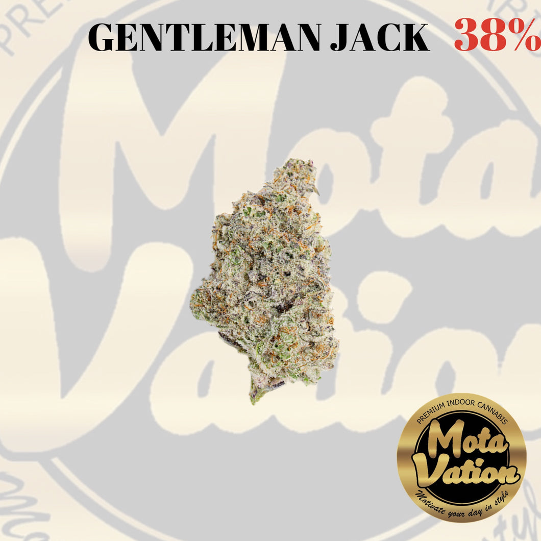 Mota-Vation - GENTLEMAN JACK 🔥🔥🔥🔥🔥🔥  (SATIVA) 38%