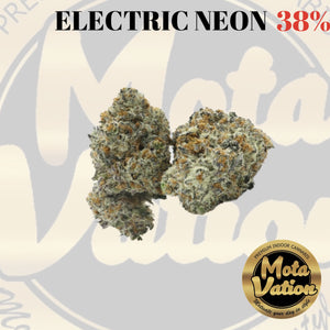 Mota-Vation - ELECTRIC NEON🔥🔥🔥🔥🔥🔥  (Hybrid) 38%