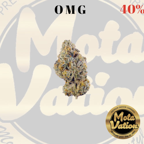 Mota-Vation - OMG 🔥🔥🔥🔥🔥🔥🔥🔥🔥 (Indica) 40%
