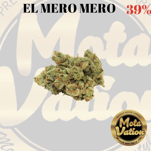Mota-Vation - EL Mero Mero  🔥🔥🔥🔥🔥OG 39% (Indica)