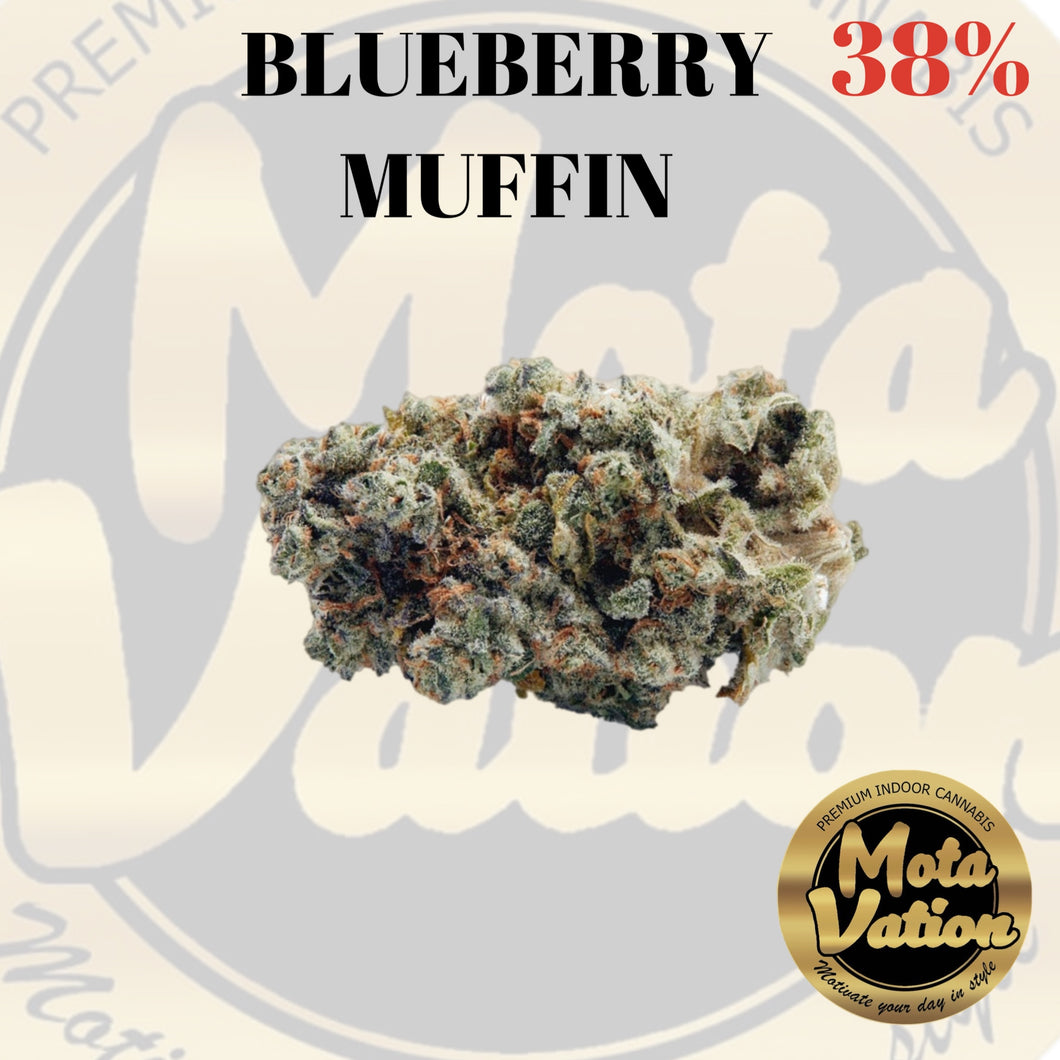 Mota-Vation - BLUEBERRY MUFFIN 🔥🔥🔥🔥🔥🔥🔥🔥🔥 (Hybrid) 38% ( 2 for 80)