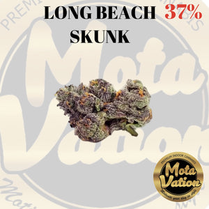 Mota-Vation  LONG BEACH SKUNK 🔥🔥🔥🔥🔥🔥  (Indica) 37% (2 for $60)