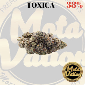 Mota-Vation - TOXICA 🔥🔥🔥🔥🔥🔥  (Indica) 38% (2 for $80)