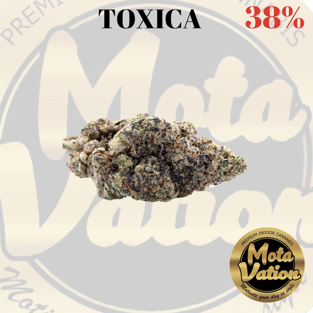Mota-Vation - TOXICA 🔥🔥🔥🔥🔥🔥  (Indica) 38% (2 for $80)