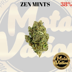 Mota-Vation - ZEN MINTZ🔥🔥🔥🔥🔥🔥  (Hybrid) 38% (2for$80) ***SUPER SALE***