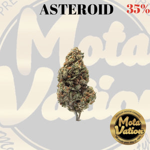Mota-Vation - ASTEROID 🔥🔥🔥🔥🔥🔥🔥  (Hybrid) 35% (2 for $60) ***Super Sale***