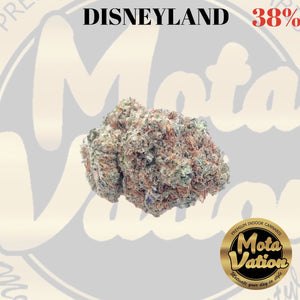 Mota-vation - DISNEYLAND 🔥🔥🔥🔥🔥🔥 38% (Sativa) (2for$70) ***SUPER SALE**