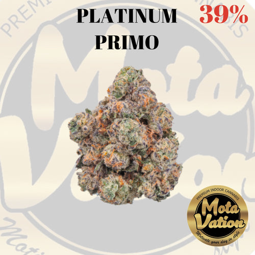 Mota-Vation - PLATINUM PRIMO  🔥🔥🔥🔥🔥🔥🔥🔥  (Indica) 39%.  ***** SUPER SALE***** (2 for $80)
