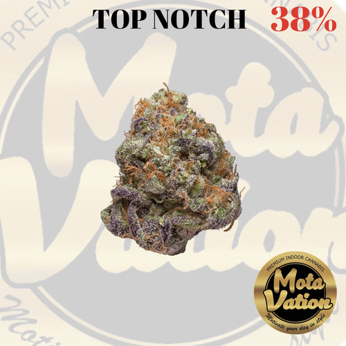Mota-Vation - TOP NOTCH 🔥🔥🔥🔥🔥🔥🔥🔥  (Indica) 38%.  ***** SUPER SALE***** (2 for $80)