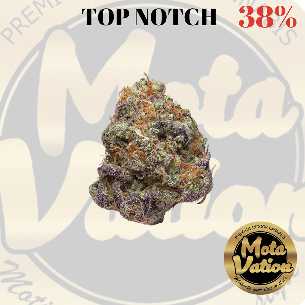 Mota-Vation - TOP NOTCH 🔥🔥🔥🔥🔥🔥🔥🔥  (Indica) 38%.  ***** SUPER SALE***** (2 for $80)