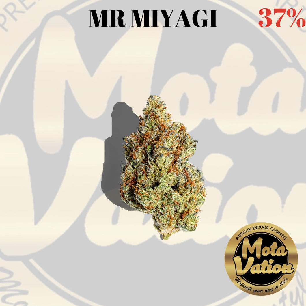 Mota-Vation  MR MIYAGI 🔥🔥🔥🔥🔥🔥🔥  (Indica) 37% ***SUPER SALE***