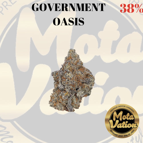 Mota-Vation GOVERNMINT OASIS 🔥🔥🔥🔥🔥🔥🔥🔥🔥 (Indica) 38%