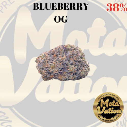 Mota-Vation - BLUEBERRY OG 🔥🔥🔥🔥🔥🔥🔥🔥🔥 (Indica) 38%