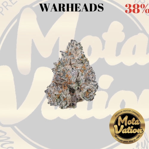 Mota-Vation - WARHEADS  🔥🔥🔥🔥🔥🔥🔥🔥  (Hybrid) 38%