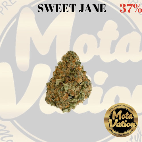 Mota-Vation - SWEET JANE 🔥🔥🔥🔥🔥🔥  (Sativa) 37% ***SUPER SALE***
