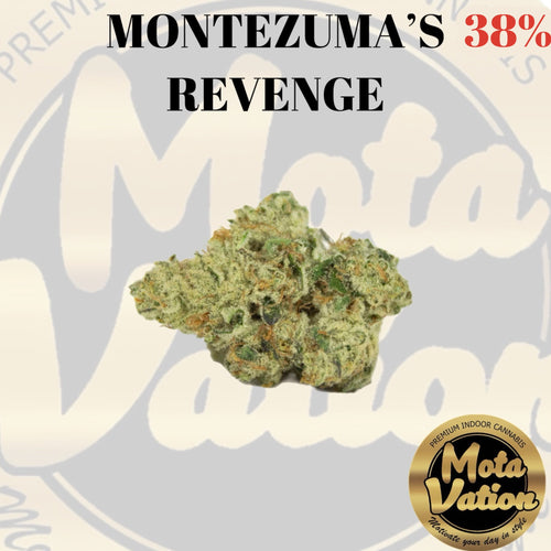 Mota-Vation MONTEZUMA’S REVENGE 🔥🔥🔥🔥🔥🔥🔥🔥🔥 (Indica) 38%