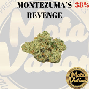 Mota-Vation MONTEZUMA’S REVENGE 🔥🔥🔥🔥🔥🔥🔥🔥🔥 (Indica) 38%