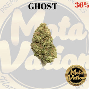Mota-Vation  GHOST🔥🔥🔥🔥🔥🔥  (Indica) 36% (2 for $60)
