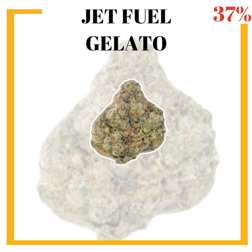 Mota-Vation - JET FUEL GELATO 🔥🔥🔥🔥🔥🔥  (Indica) 37% (2 for $60) ***Super Sale***