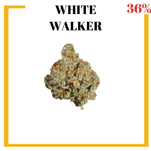 Mota-Vation - WHITE WALKER🔥🔥🔥🔥🔥🔥  (Indica) 36% (2 for $50) ***Super Sale***