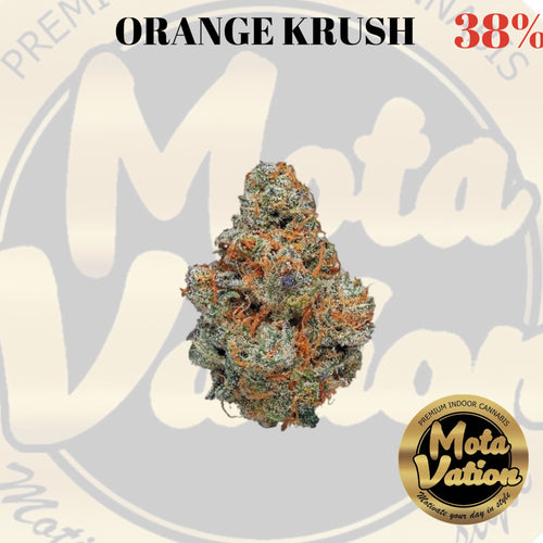 Mota-vation ORANGE KRUSH🔥🔥🔥🔥🔥🔥🔥  (Sativa) 38%(2 For $80)