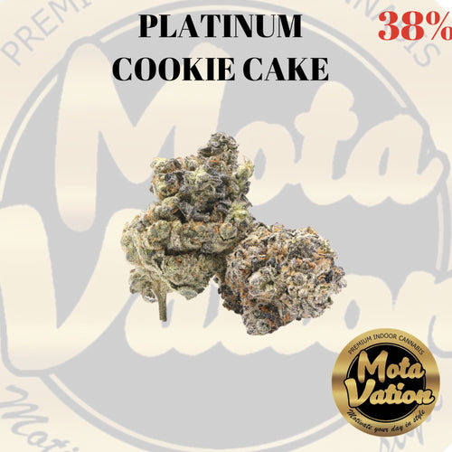 Mota-Vation PLATINUM COOKIE CAKE 🔥🔥🔥🔥🔥🔥🔥🔥🔥 (Indica) 38% ***Super Sale***