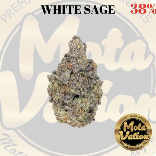 Mota-Vation  WHITE SAGE 🔥🔥🔥🔥🔥🔥  (Indica) 38% (2for$80) ***SUPER SALE***