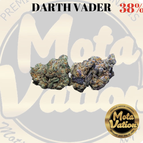 Mota-Vation DARTH VADER OG 38% 🔥🔥🔥🔥🔥🔥🔥 (Indica)***SUPER SALE***