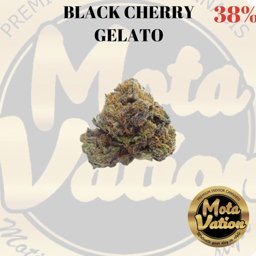 Mota-Vation  BLACK CHERRY GELATO 🔥🔥🔥🔥🔥🔥🔥🔥 (2for$80)  (Indica) 38% *** SUPER SALE***