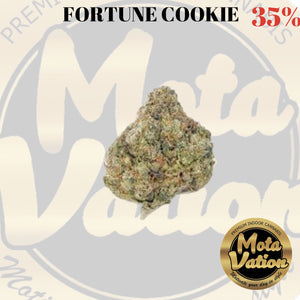 Mota-Vation - FORTUNE COOKIE 🔥🔥🔥🔥🔥🔥  (Indica) 35% (2 for $50) ***Super Sale***