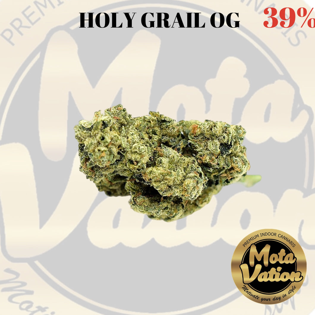 Mota-Vation HOLY GRAIL OG 🔥🔥🔥🔥🔥🔥🔥🔥🔥 (Indica) 39%